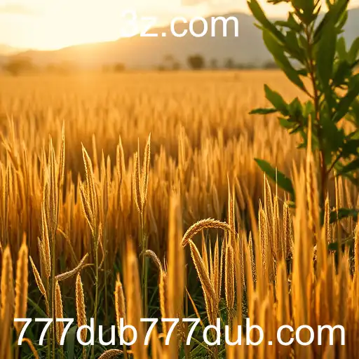 Transformações Digitais e Sustentabilidade no Brasil